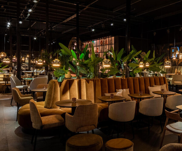 Barsofa Annette2